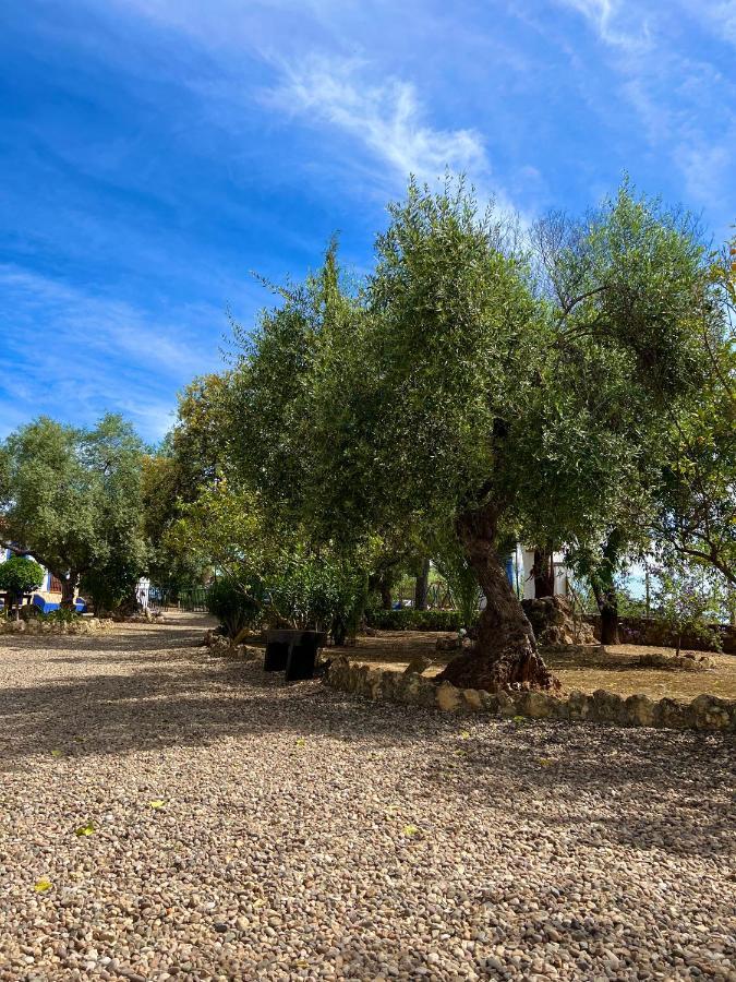 Complejo Rural Mirador De La Alcaidia Villa Hornachuelos Ngoại thất bức ảnh