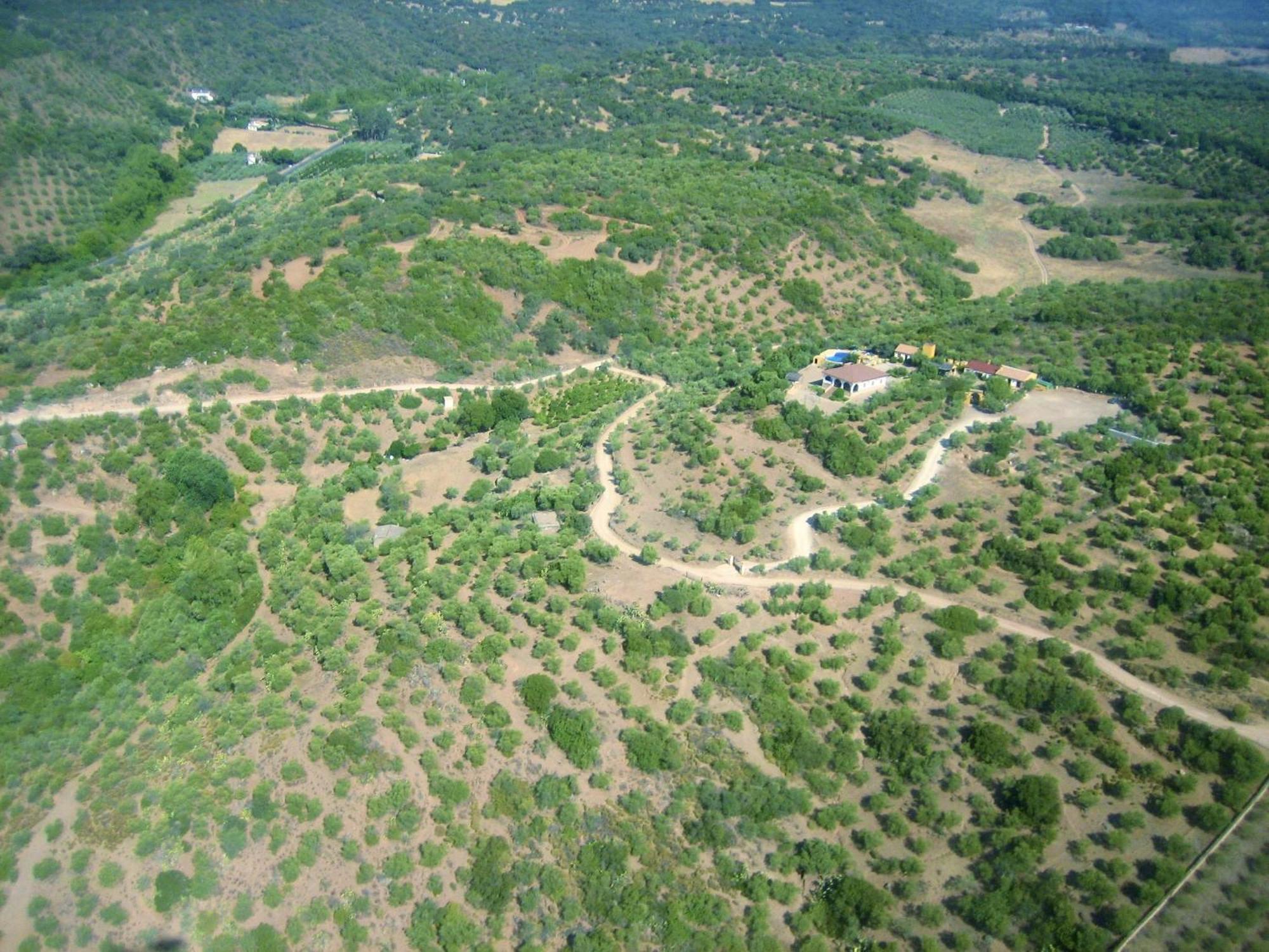 Complejo Rural Mirador De La Alcaidia Villa Hornachuelos Ngoại thất bức ảnh